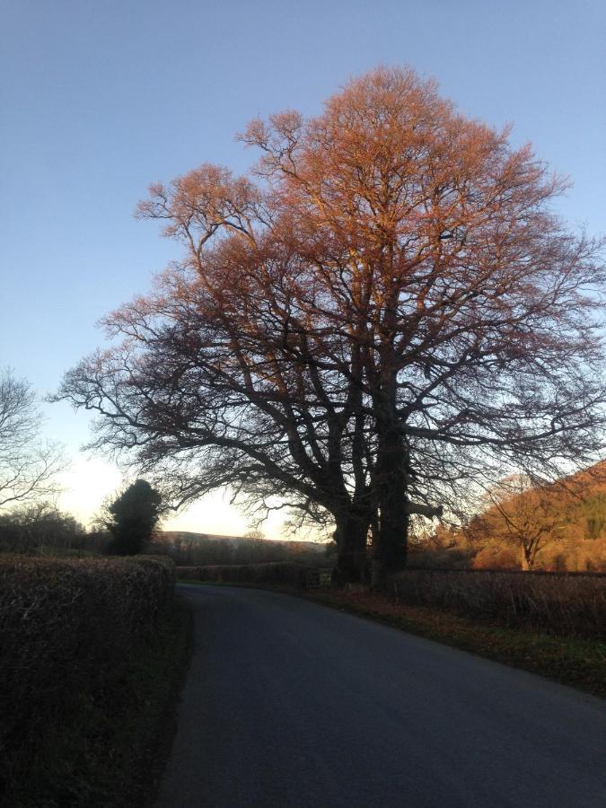 Henllys Estate B And B Llandovery Exteriör bild